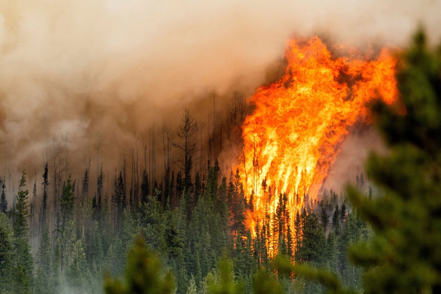Ein Waldbrand wütet in der Region Donnie Creek in British Columbia. Nach Angaben des EU-Erdbeobachtungsprogramms Copernicus sind Rekordmengen an Kohlenstoff in die Atmosphäre aufgestiegen.