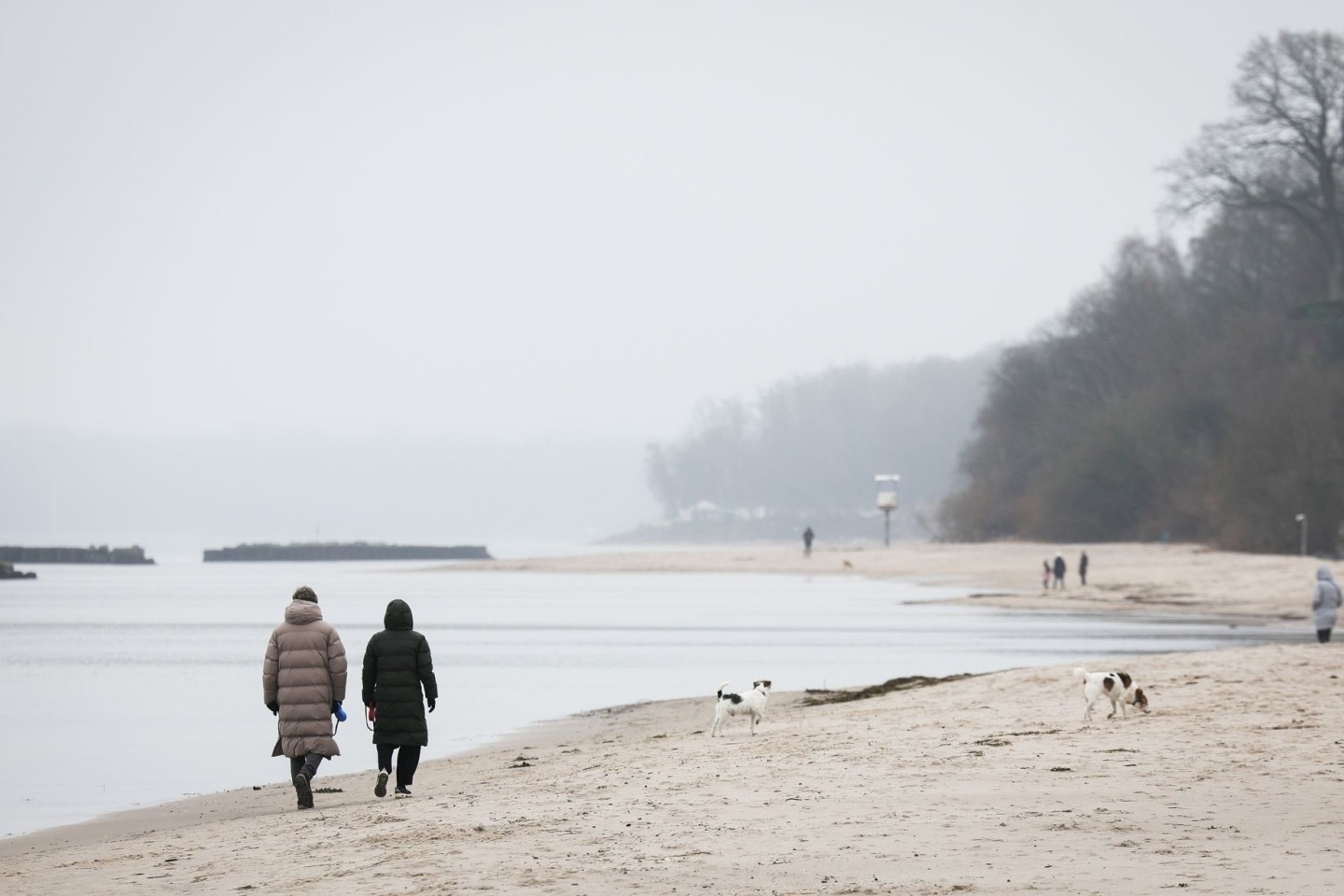 Spaziergänger mit Hunden sind bei leichtem Nieselregen am Strand von Schilksee bei Kiel.